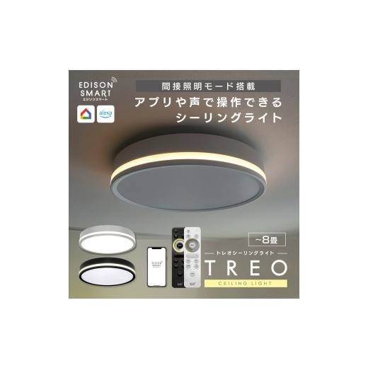 ふるさと納税 雑貨・日用品 福岡県 福岡市 エジソンスマート TREO シーリングライト 福岡市 ブ...