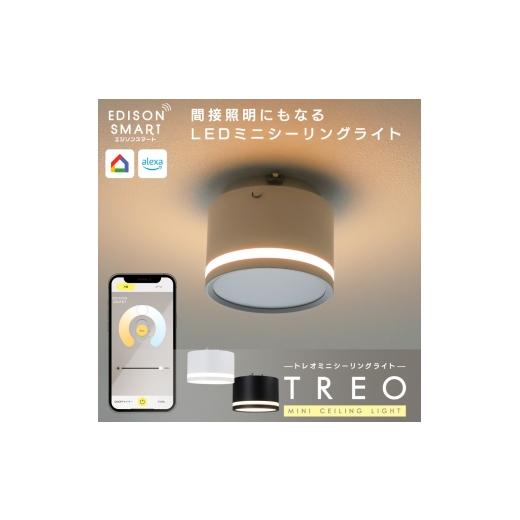 ふるさと納税 雑貨・日用品 福岡県 福岡市 エジソンスマート TREO ミニシーリングライト 引掛け...