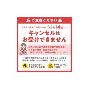 ふるさと納税 防災グッズ 静岡県 富士市 ウェ...の詳細画像4