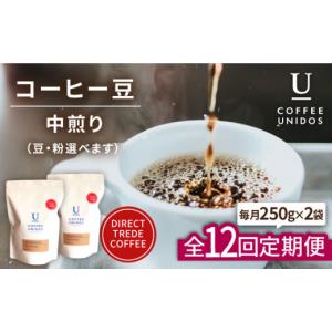 ふるさと納税 コーヒー コーヒー豆 福岡県 糸...の詳細画像1