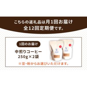 ふるさと納税 コーヒー コーヒー豆 福岡県 糸...の詳細画像2