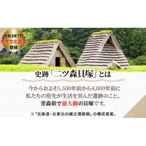 ふるさと納税 焼菓子・チョコレート ブラウニー...の詳細画像4