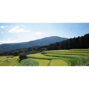 ふるさと納税 牛肉 すき焼き 兵庫県 養父市 ...の詳細画像5