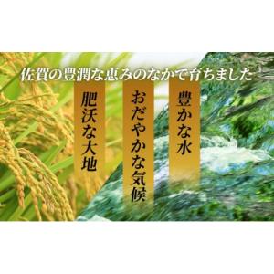 ふるさと納税 米 さがびより 佐賀県 上峰町 ...の詳細画像4