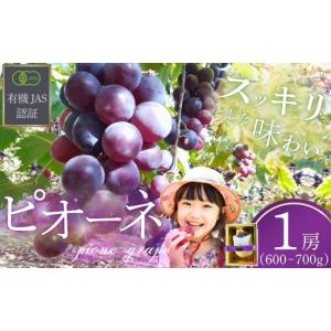 ふるさと納税 ぶどう 山口県 宇部市 ぶどう ...の詳細画像1