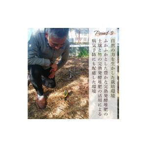 ふるさと納税 ぶどう 山口県 宇部市 ぶどう ...の詳細画像5