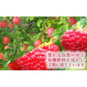 ふるさと納税 お酒 北海道 余市町 12回定期...の詳細画像2