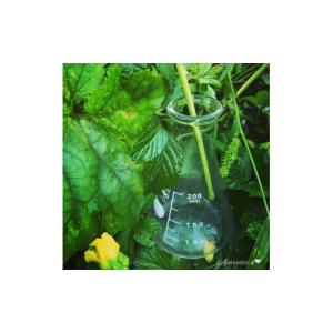 ふるさと納税 美容 化粧水 高知県 南国市 1...の詳細画像4