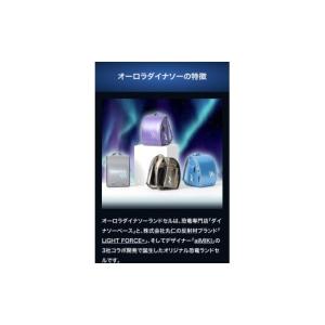 ふるさと納税 雑貨・日用品 福井県 越前市 2...の詳細画像3