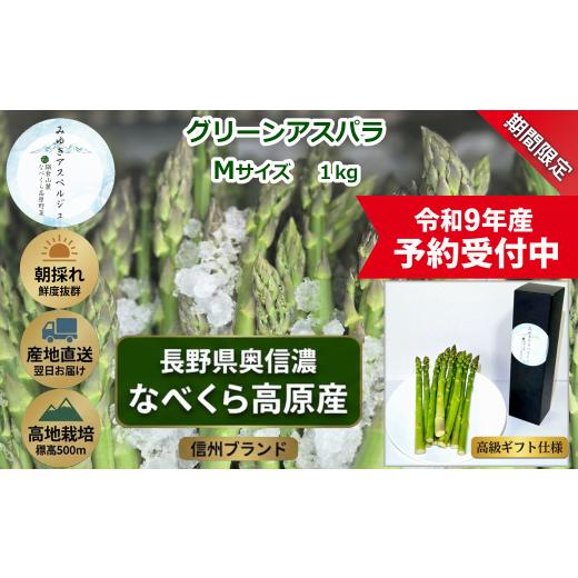 ふるさと納税 野菜類 アスパラガス 長野県 飯山市  令和9年産先行予約 アスパラガス みゆきアスペ...