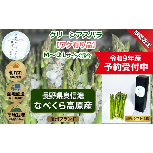 ふるさと納税 野菜類 アスパラガス 長野県 飯山市  令和9年産先行予約 ＼訳あり／アスパラガス み...
