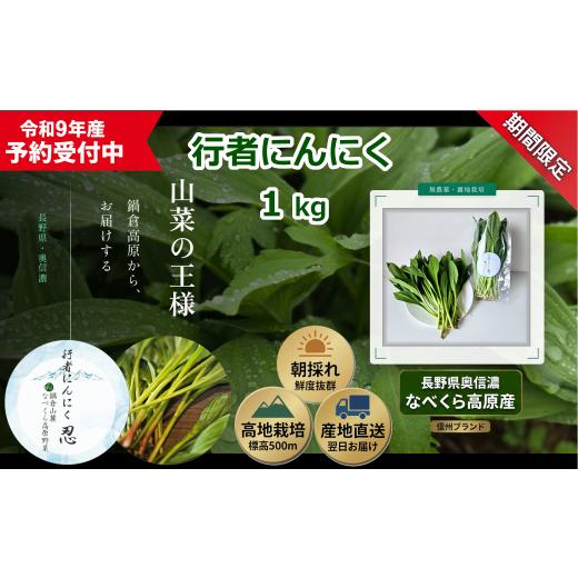 ふるさと納税 野菜類 長野県 飯山市  令和9年産先行予約 行者にんにく 忍 1kg入り 1箱（14...
