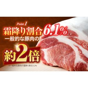 ふるさと納税 ハム・ソーセージ・ハンバーグ 岐...の詳細画像4