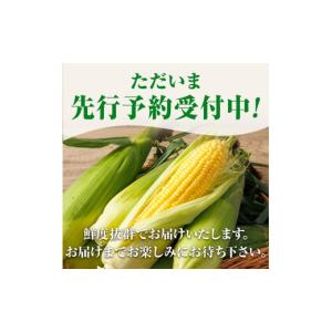 ふるさと納税 とうもろこし 北海道 士別市 期...の詳細画像3