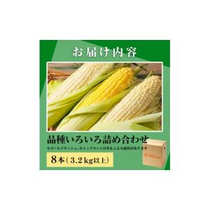 ふるさと納税 とうもろこし 北海道 士別市 期...の詳細画像5
