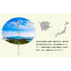 ふるさと納税 雑貨・日用品 岡山県 瀬戸内市 ...の詳細画像2