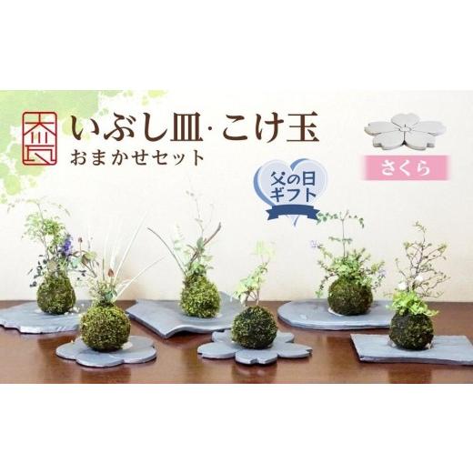 ふるさと納税 陶磁器・漆器・ガラス 香川県 坂出市  父の日ギフト いぶし皿（さくら）・こけ玉おまか...