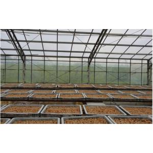 ふるさと納税 加工品等 梅干 和歌山県 みなべ...の詳細画像3