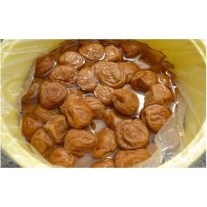 ふるさと納税 加工品等 梅干 和歌山県 みなべ...の詳細画像4