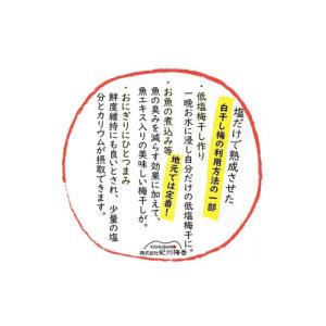 ふるさと納税 加工品等 梅干 和歌山県 高野町...の詳細画像2