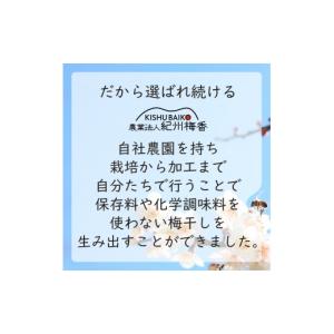 ふるさと納税 加工品等 梅干 和歌山県 高野町...の詳細画像3