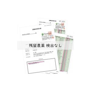 ふるさと納税 加工品等 梅干 和歌山県 高野町...の詳細画像5