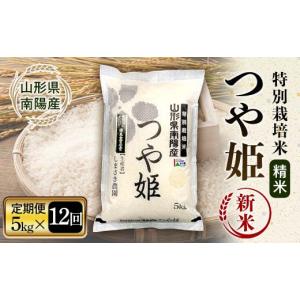 ふるさと納税 米 つや姫 山形県 南陽市 令和...の詳細画像1