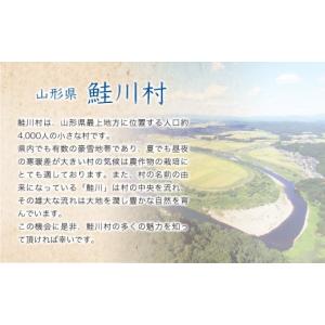 ふるさと納税 玄米 山形県 鮭川村 令和8年産...の詳細画像3