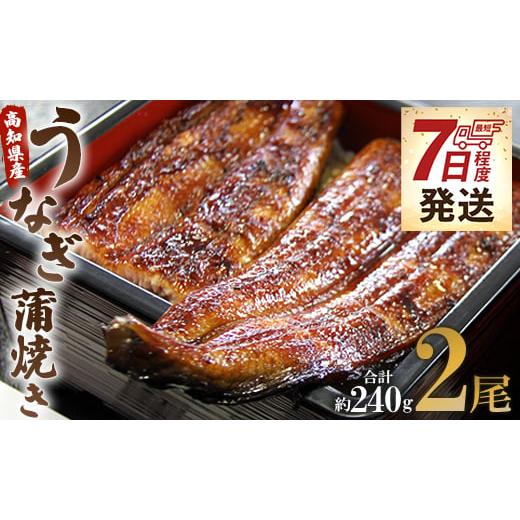 ふるさと納税 高知県 香南市 うなぎ屋きた本 うなぎ蒲焼き120g 2尾セット(無頭)  - ウナギ...