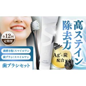 ふるさと納税 美容 熊本県 菊陽町 全12回定期便 歯ブラシセット(SMILE ONE 歯ブラシ×4,SMILE ONE歯磨き剤×1本) ／ 歯磨き粉 歯磨き 銀イオン ボタニカル成…