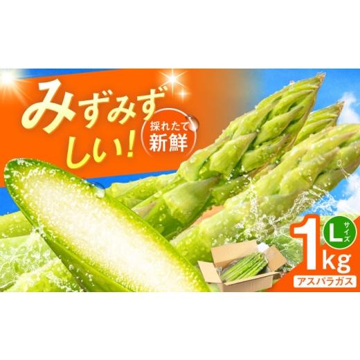 ふるさと納税 野菜類 アスパラガス 福岡県 糸島市 採れたてを直送 糸島野菜 アスパラガス 1kg ...