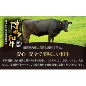 ふるさと納税 牛肉 ヒレ 福岡県 那珂川市 定...の詳細画像4