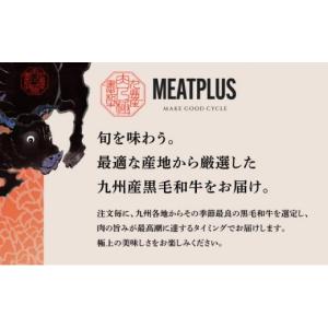 ふるさと納税 牛肉 ハンバーグ 福岡県 那珂川...の詳細画像4