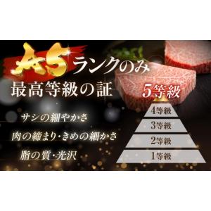 ふるさと納税 牛肉 ヒレ 岐阜県 大垣市 12...の詳細画像3