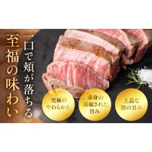 ふるさと納税 牛肉 ヒレ 岐阜県 大垣市 12...の詳細画像5