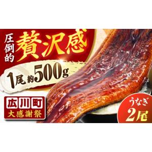 ふるさと納税 うなぎ 福岡県 広川町 1尾約5...の詳細画像1
