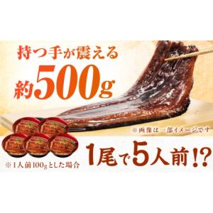 ふるさと納税 うなぎ 福岡県 広川町 1尾約5...の詳細画像2