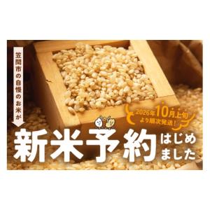 ふるさと納税 玄米 茨城県 笠間市 2026年...の詳細画像2
