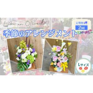 ふるさと納税 花・苗木 花束 新潟県 糸魚川市 定期便 アレンジメント L （毎月定期便）　 選べる回数：2回 フラワーアレンジメント アレンジメント 季節の花 …