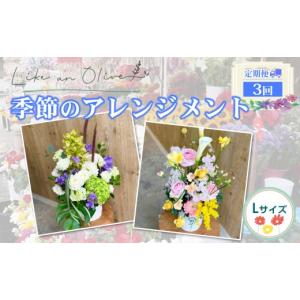 ふるさと納税 花・苗木 花束 新潟県 糸魚川市 定期便 アレンジメント L （毎月定期便）　 選べる回数：3回 フラワーアレンジメント アレンジメント 季節の花 …