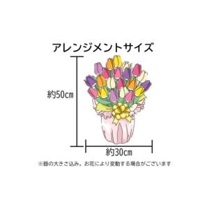 ふるさと納税 花・苗木 花束 新潟県 糸魚川市...の詳細画像3