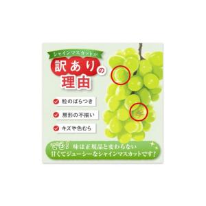 ふるさと納税 ぶどう マスカット 山梨県 甲州...の詳細画像4