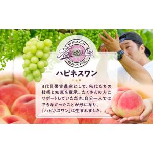 ふるさと納税 ぶどう マスカット 山梨県 甲州...の詳細画像5