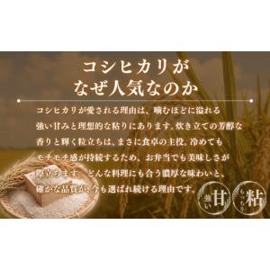 ふるさと納税 米 コシヒカリ 千葉県 東金市 ...の詳細画像3