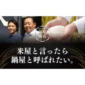 ふるさと納税 米 コシヒカリ 千葉県 東金市 ...の詳細画像4