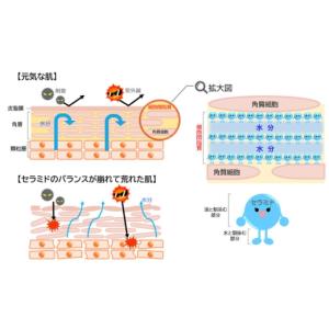 ふるさと納税 美容 化粧水 福岡県 糸島市 全...の詳細画像3