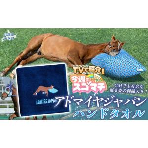 ふるさと納税 タオル・寝具 北海道 平取町 T...の詳細画像1