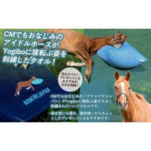 ふるさと納税 タオル・寝具 北海道 平取町 T...の詳細画像2