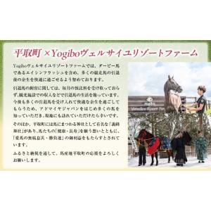 ふるさと納税 雑貨・日用品 キャラクター 北海...の詳細画像5