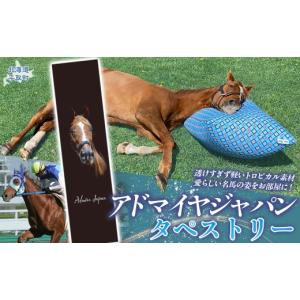 ふるさと納税 雑貨・日用品 インテリア 北海道 平取町 アドマイヤジャパン×Yogibo タペストリー ふるさと納税 人気 おすすめ ランキング 馬 競馬 競走馬 引…